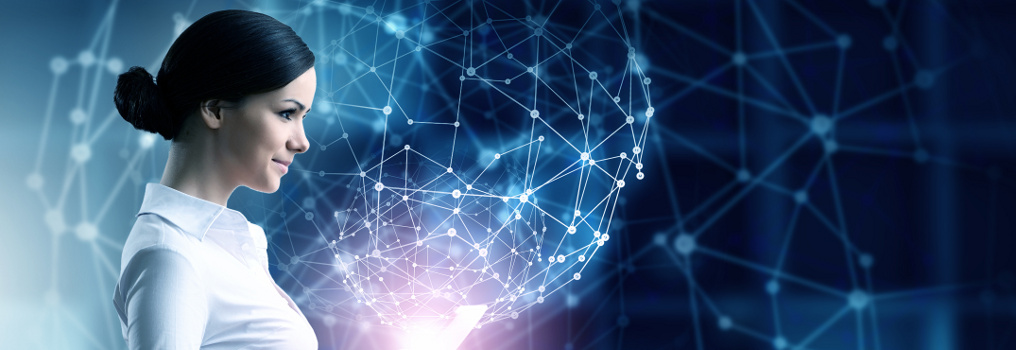 Network Concept